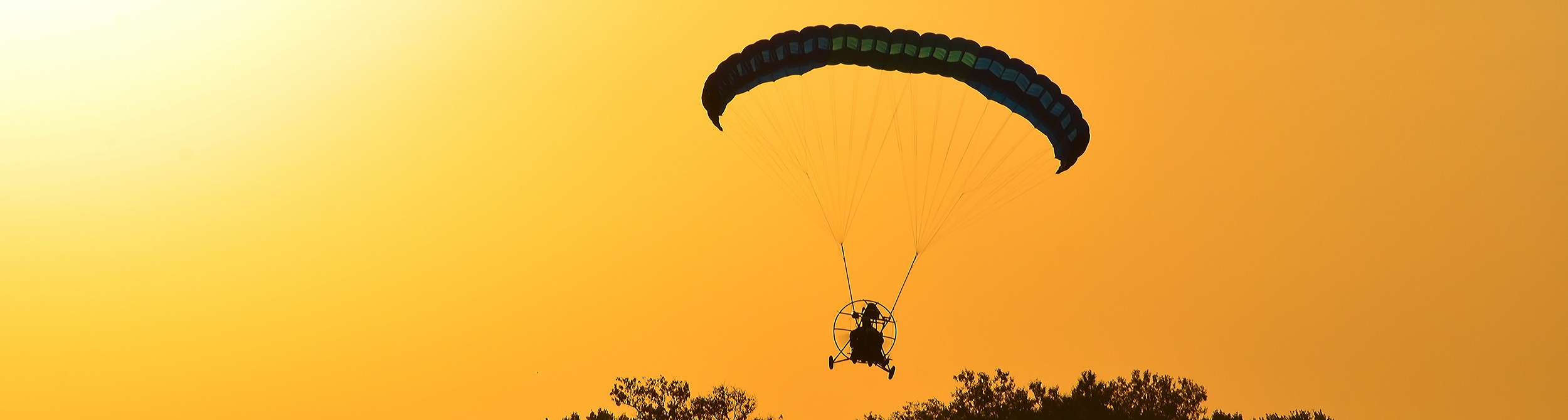 Sunset Flight