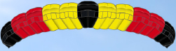 Barnstormer Color Pattern